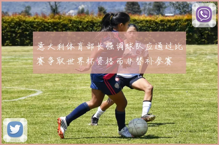 意大利体育部长强调球队应通过比赛争取世界杯资格而非替补参赛