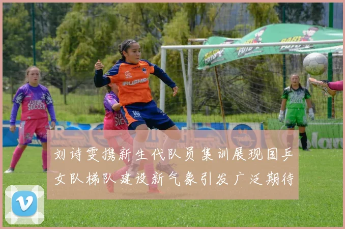 刘诗雯携新生代队员集训展现国乒女队梯队建设新气象引发广泛期待